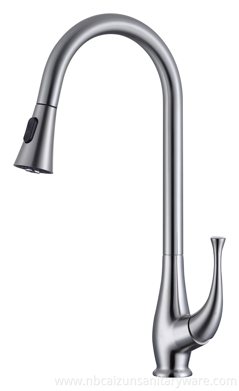 Kitchen Faucet With Sprayer